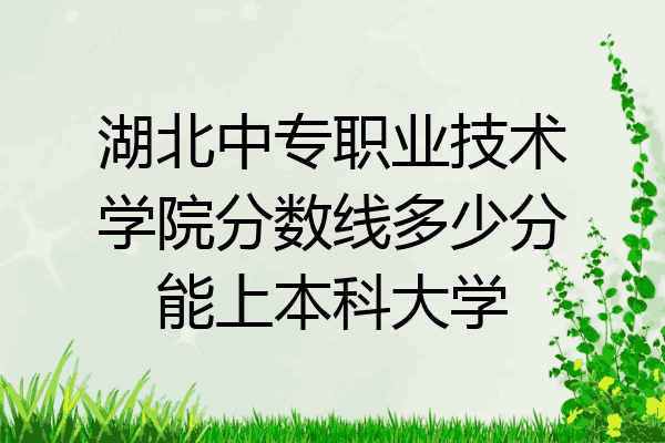 湖北中专职业技术学院分数线多少分能上本科大学