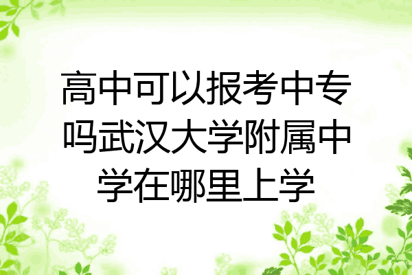 高中可以报考中专吗武汉大学附属中学在哪里上学