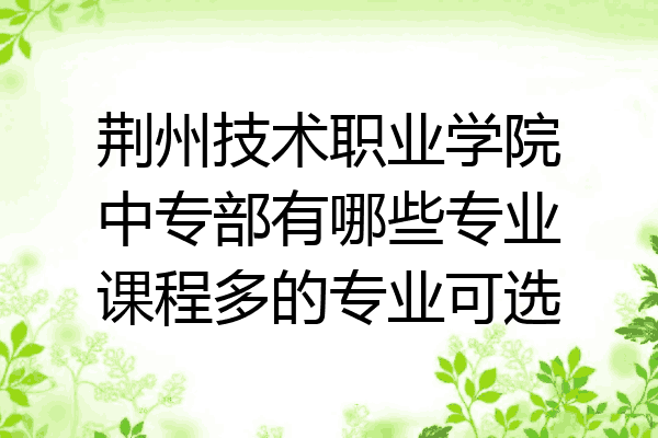 荆州技术职业学院中专部有哪些专业课程多的专业可选