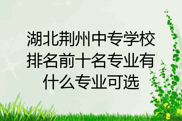 湖北荆州中专学校排名前十名专业有什么专业可选