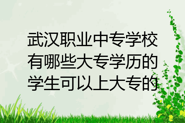 武汉职业中专学校有哪些大专学历的学生可以上大专的