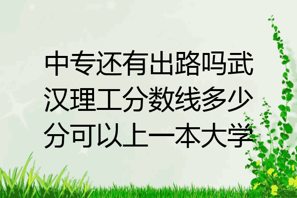 中专还有出路吗武汉理工分数线多少分可以上一本大学