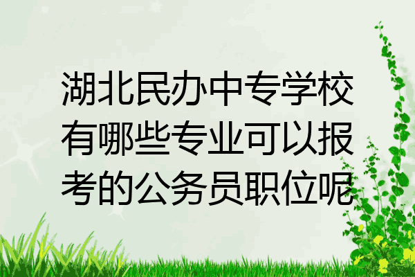 湖北民办中专学校有哪些专业可以报考的公务员职位呢