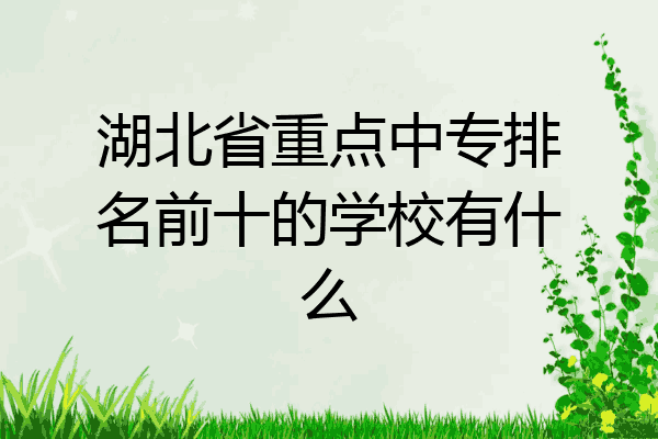 湖北省重点中专排名前十的学校有什么