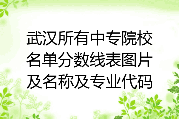 武汉所有中专院校名单分数线表图片及名称及专业代码