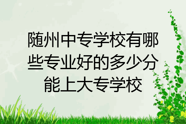 随州中专学校有哪些专业好的多少分能上大专学校