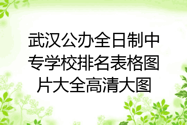 武汉公办全日制中专学校排名表格图片大全高清大图