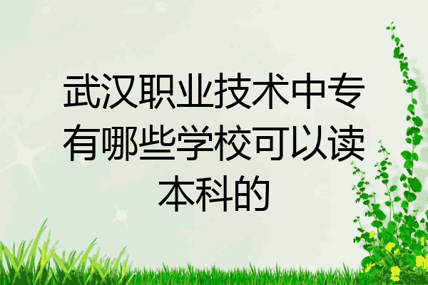 武汉职业技术中专有哪些学校可以读本科的
