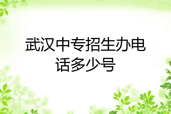 武汉中专招生办电话多少号