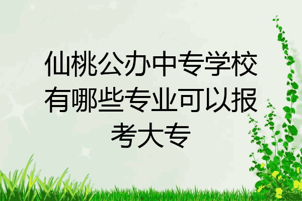 仙桃公办中专学校有哪些专业可以报考大专