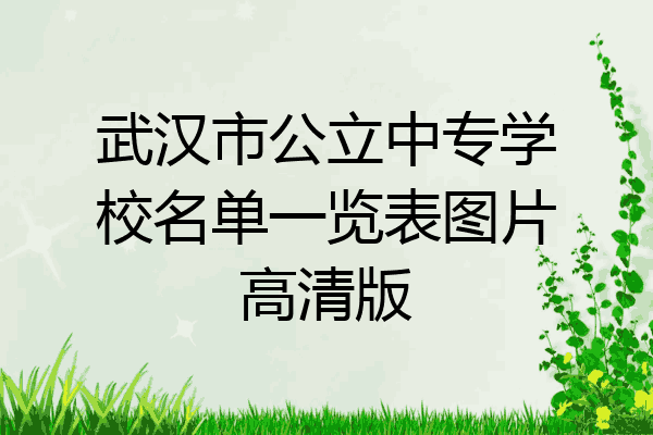 武汉市公立中专学校名单一览表图片高清版