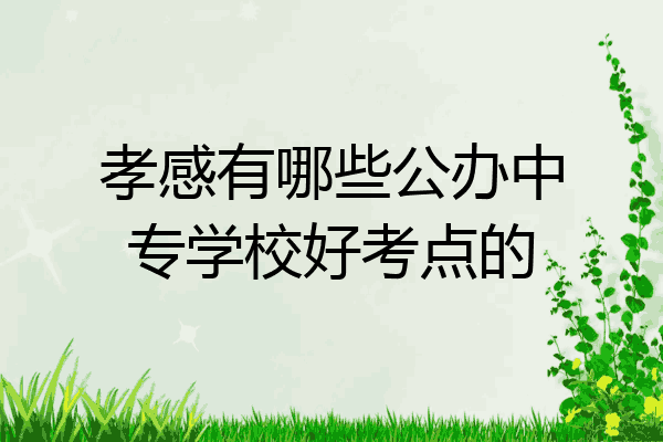 孝感有哪些公办中专学校好考点的