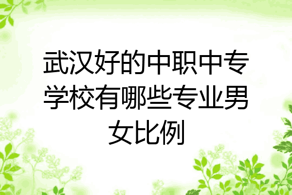 武汉好的中职中专学校有哪些专业男女比例