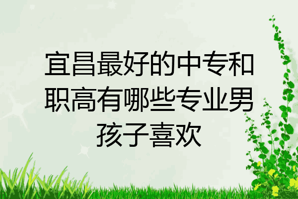 宜昌最好的中专和职高有哪些专业男孩子喜欢