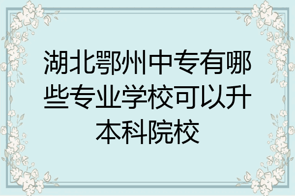 湖北鄂州中专有哪些专业学校可以升本科院校