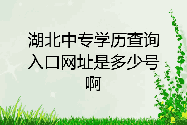 湖北中专学历查询入口网址是多少号啊