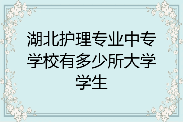 湖北护理专业中专学校有多少所大学学生
