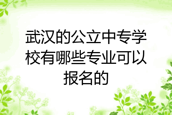 武汉的公立中专学校有哪些专业可以报名的