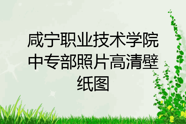 咸宁职业技术学院中专部照片高清壁纸图