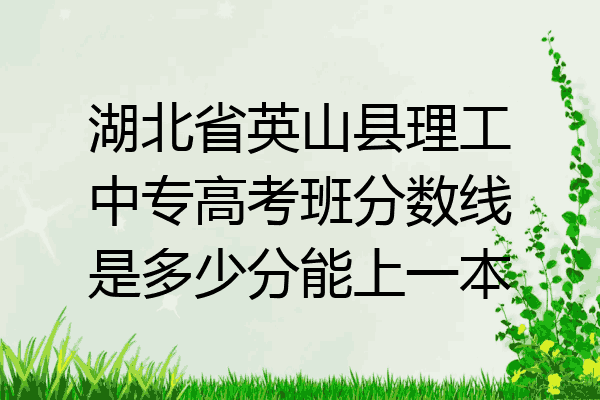 湖北省英山县理工中专高考班分数线是多少分能上一本
