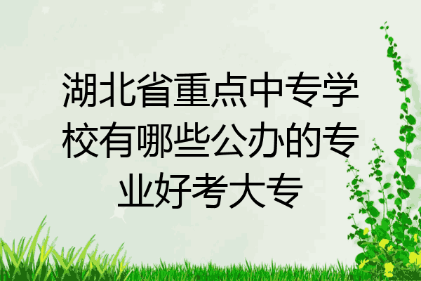 湖北省重点中专学校有哪些公办的专业好考大专