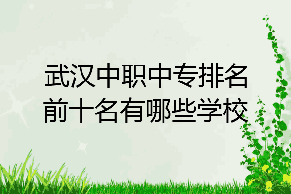 武汉中职中专排名前十名有哪些学校