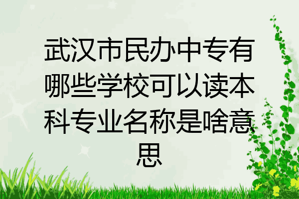武汉市民办中专有哪些学校可以读本科专业名称是啥意思