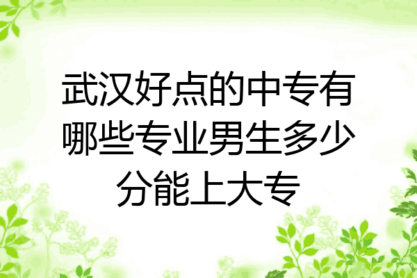 武汉好点的中专有哪些专业男生多少分能上大专