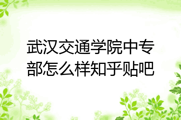 武汉交通学院中专部怎么样知乎贴吧