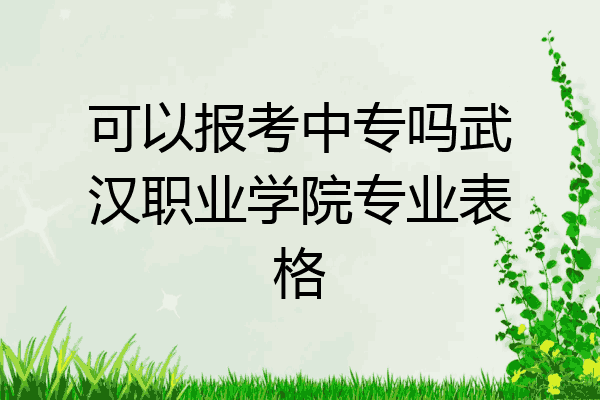 可以报考中专吗武汉职业学院专业表格