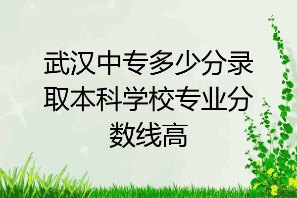 武汉中专多少分录取本科学校专业分数线高