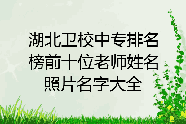 湖北卫校中专排名榜前十位老师姓名照片名字大全