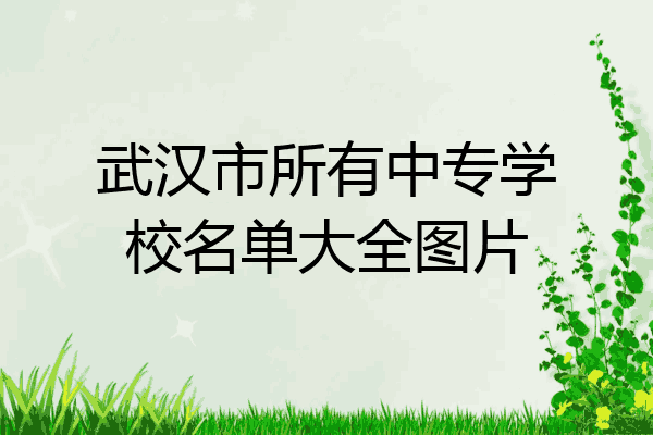 武汉市所有中专学校名单大全图片