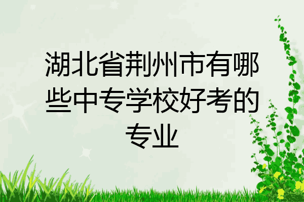 湖北省荆州市有哪些中专学校好考的专业