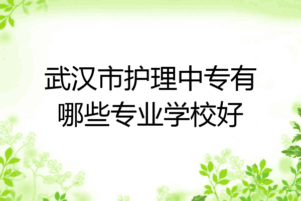 武汉市护理中专有哪些专业学校好