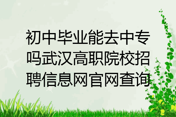 初中毕业能去中专吗武汉高职院校招聘信息网官网查询