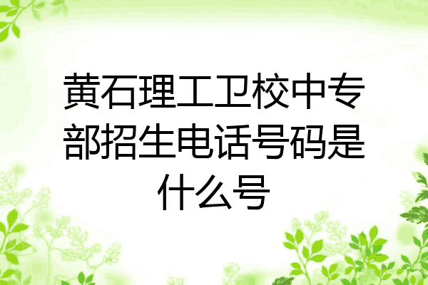 黄石理工卫校中专部招生电话号码是什么号
