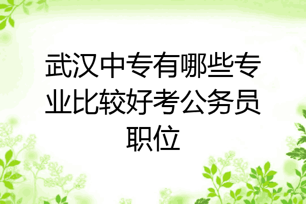 武汉中专有哪些专业比较好考公务员职位