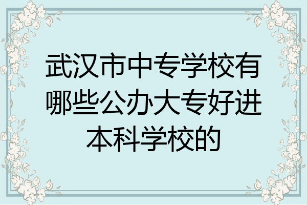 武汉市中专学校有哪些公办大专好进本科学校的