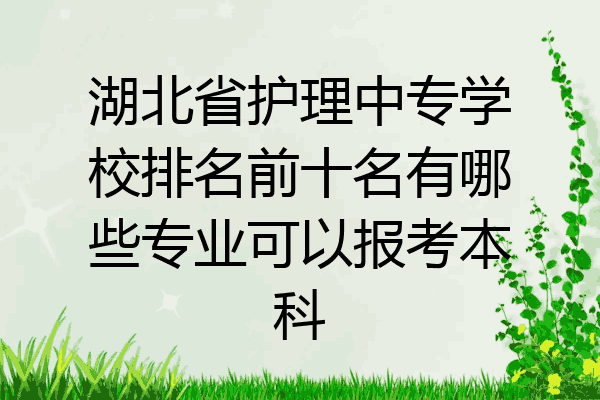 湖北省护理中专学校排名前十名有哪些专业可以报考本科