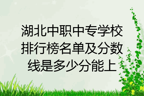 湖北中职中专学校排行榜名单及分数线是多少分能上