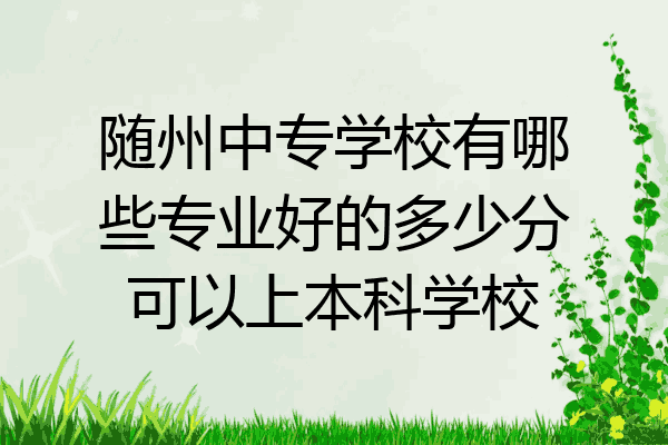 随州中专学校有哪些专业好的多少分可以上本科学校
