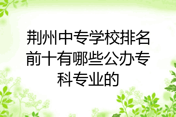 荆州中专学校排名前十有哪些公办专科专业的