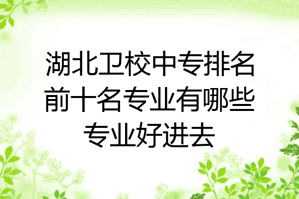 湖北卫校中专排名前十名专业有哪些专业好进去
