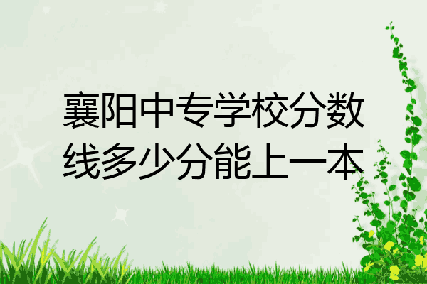襄阳中专学校分数线多少分能上一本