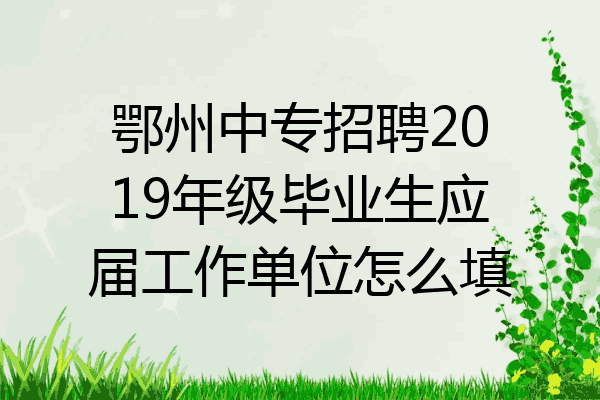 鄂州中专招聘2019年级毕业生应届工作单位怎么填