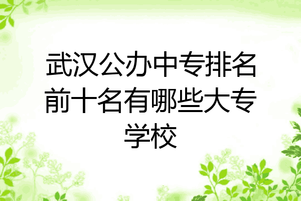 武汉公办中专排名前十名有哪些大专学校