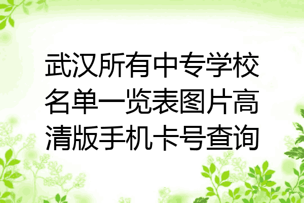 武汉所有中专学校名单一览表图片高清版手机卡号查询