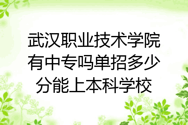 武汉职业技术学院有中专吗单招多少分能上本科学校