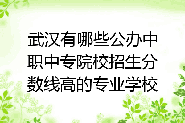武汉有哪些公办中职中专院校招生分数线高的专业学校
